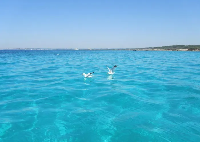 Couette-café Mistral Exclusive