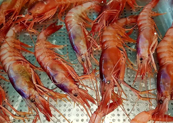 Couette-café Mistral Exclusive Gallipoli