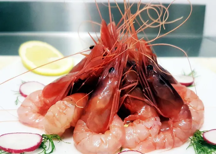 Couette-café Mistral Exclusive