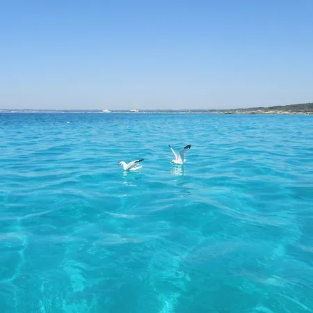 Couette-café Mistral Exclusive