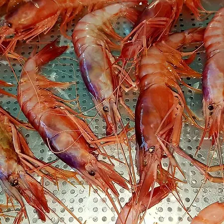 住宿加早餐酒店 Mistral Exclusive 加利波利