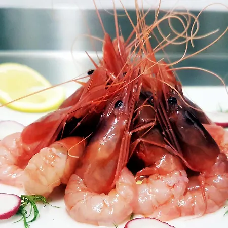 Panzió Mistral Exclusive