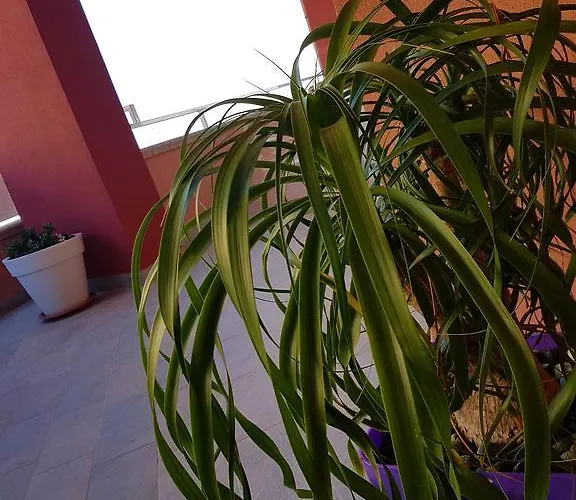 Bed & Breakfast Mistral Exclusive 4*