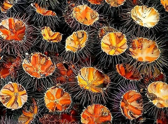 Bed & Breakfast Mistral Exclusive Gallipoli